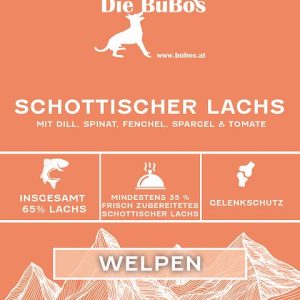 Schottischer Lachs mit Dill, Spinat, Fenchel, Spargel & Tomate