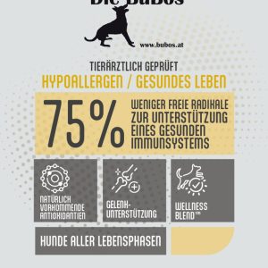 Hypoallergen / Gesundes Leben