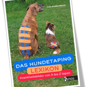 Das Hundetaping Lexikon