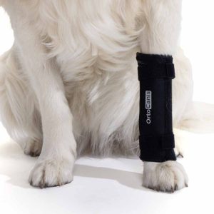 Verstellbare Karpalorthese für Hunde