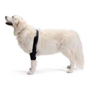 Ellenbogenbandage für Hunde - links