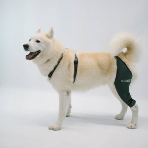 Kniebandage für Hunde - links