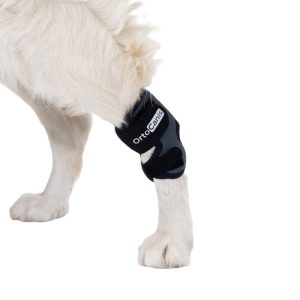 Sprunggelenkbandage für Hunde