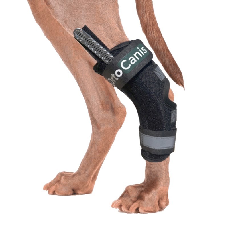 Sprunggelenkbandage mit flexiblen Schienen – Bild 6