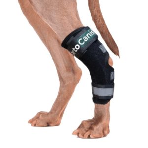 Sprunggelenkbandage mit flexiblen Schienen